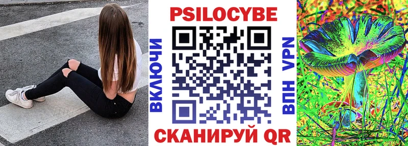 купить наркотики сайты  Пудож  дарк нет телеграм  Псилоцибиновые грибы Psilocybe  OMG  